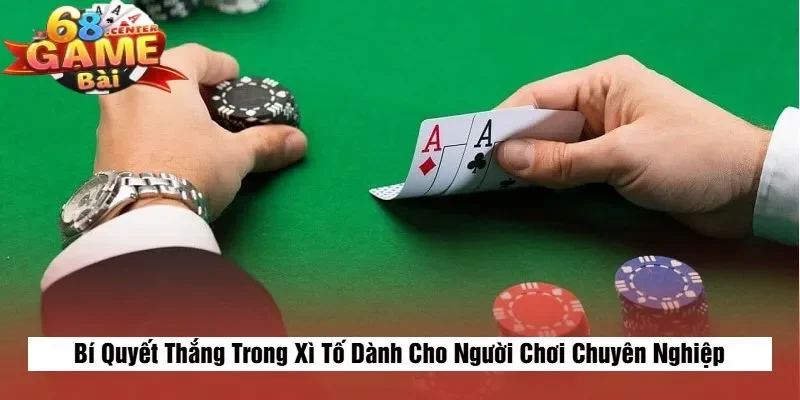 Bí Quyết Thắng Trong Xì Tố Dành Cho Người Chơi Chuyên Nghiệp