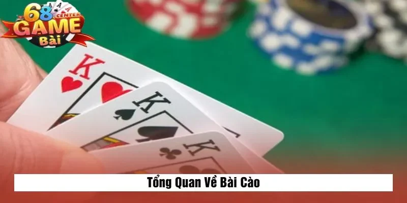 Tổng Quan Về Bài Cào